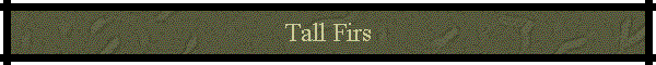 Tall Firs